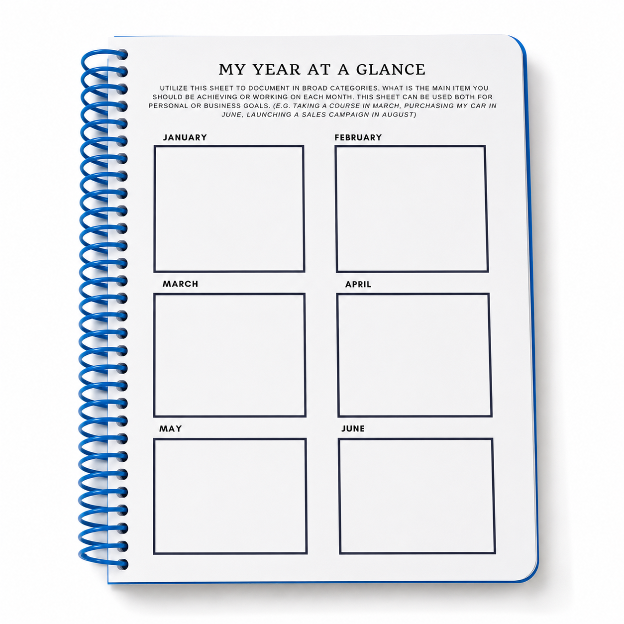 My Year at a Glance page from the My Goal Tracker planner